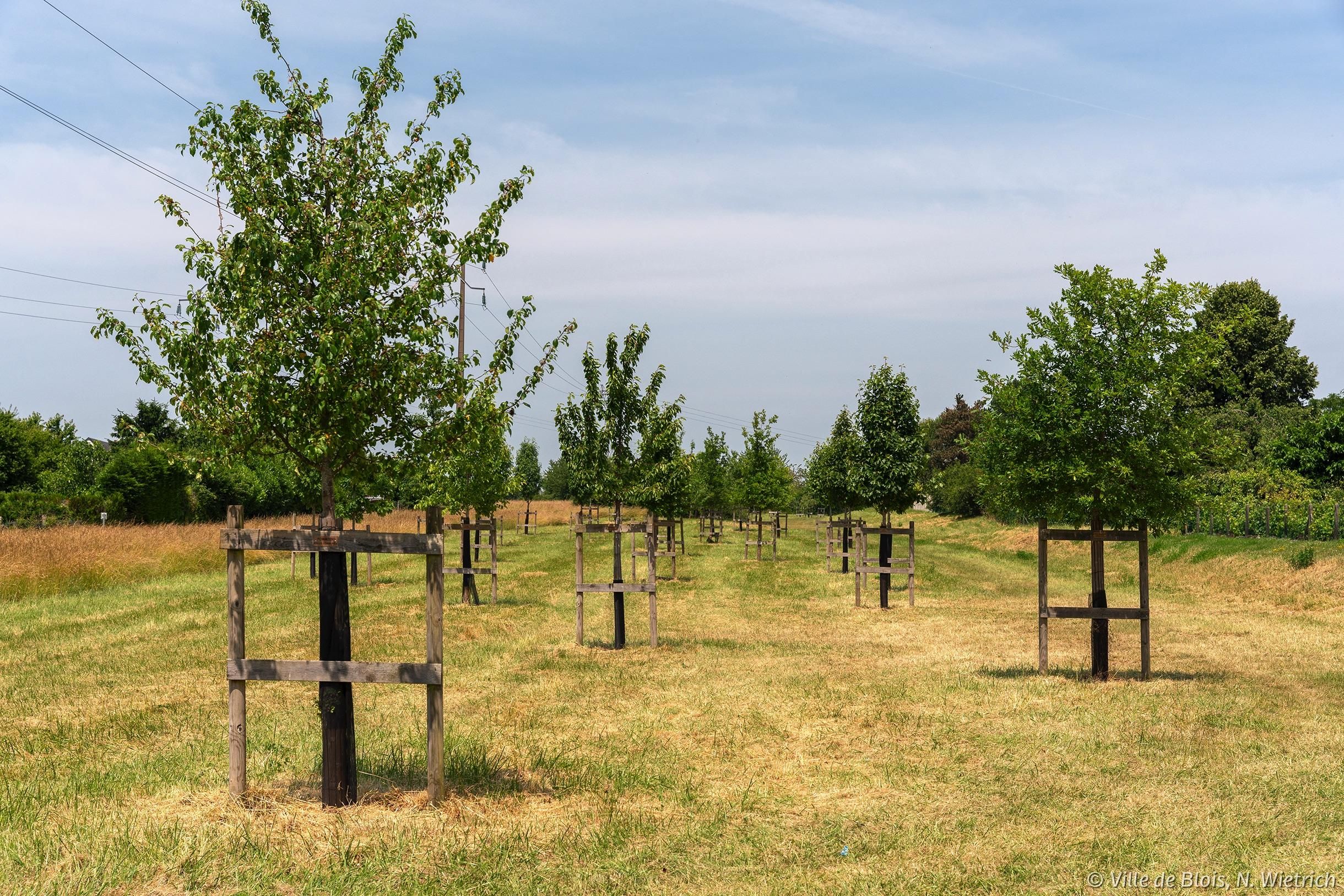 découvrez blois, une ville pionnière en urbanisme durable, alliant innovation écologique et qualité de vie pour un avenir respectueux de l'environnement.